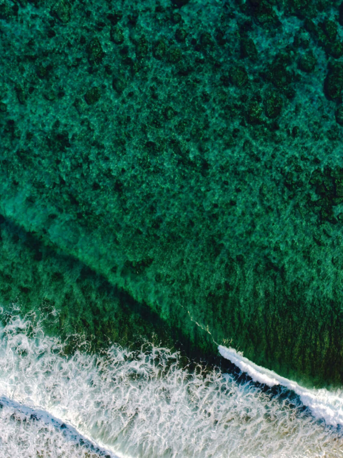 the-next-seaweed-trail-featured